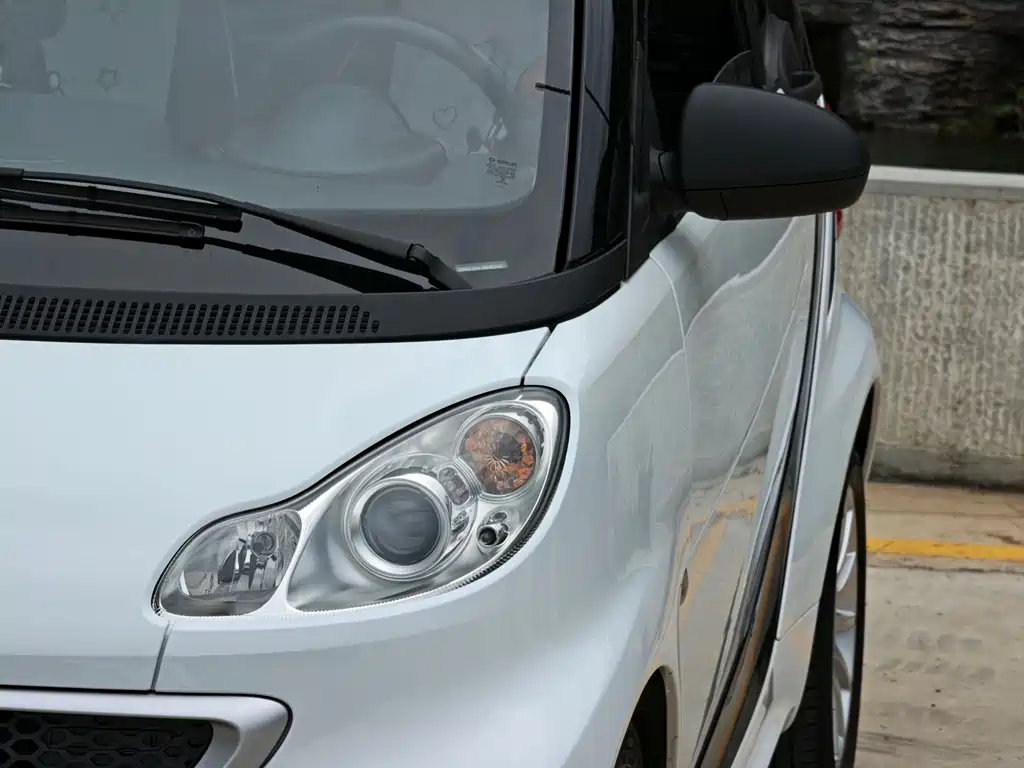 smart fortwo 2013 — фото 11