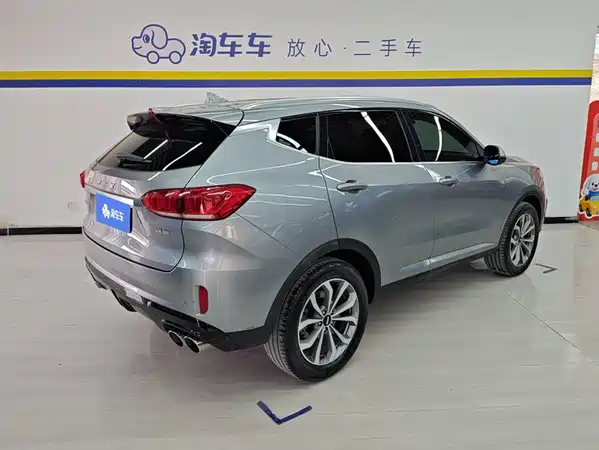 Wey VV6 2019