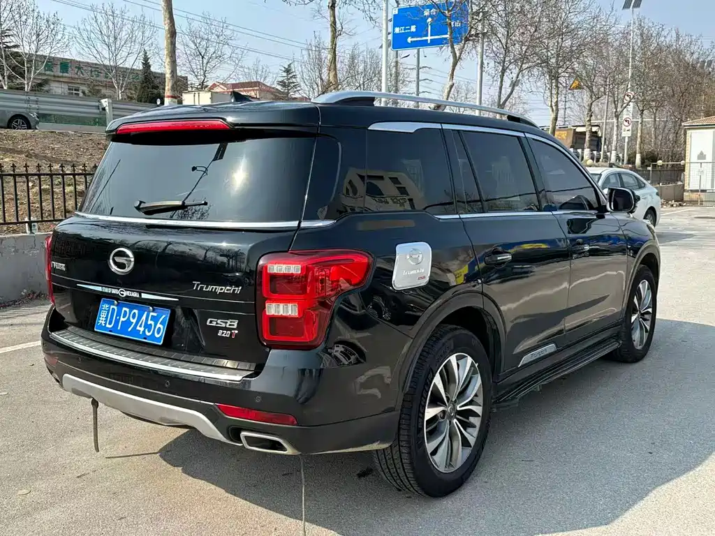 GAC Trumpchi GS8 2019 — фото 9