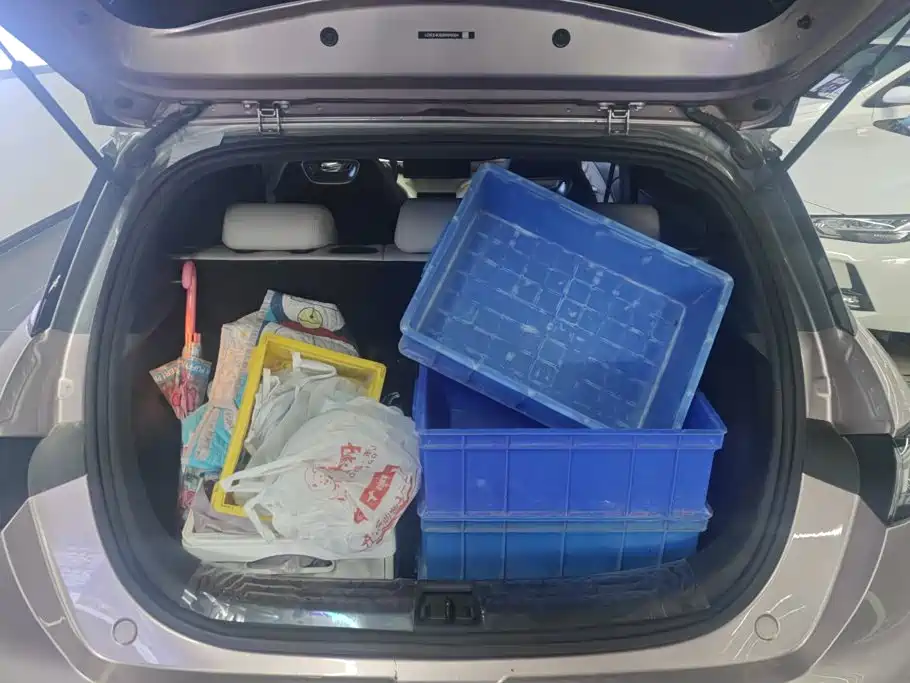 BYD Dolphin 2025