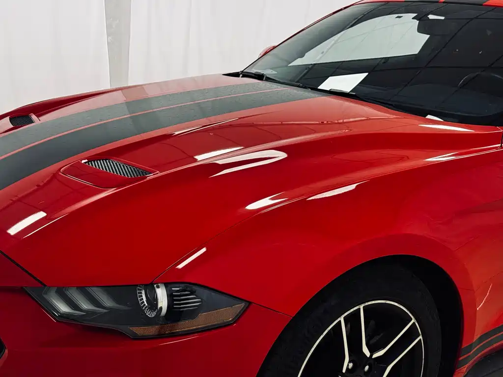 Ford Mustang 2019 — фото 9