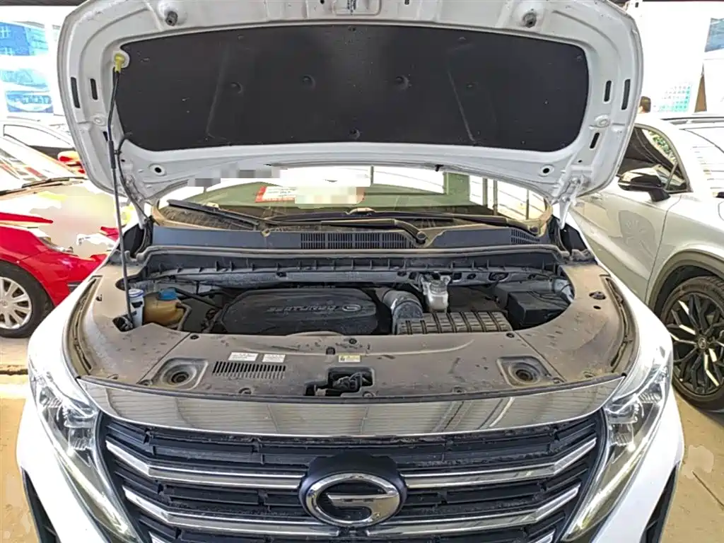 GAC Motor Trumpchi M8 2020 — фото 20
