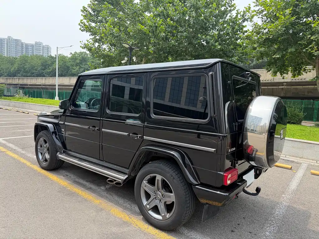 Mercedes-Benz G-Class 2016 — фото 16