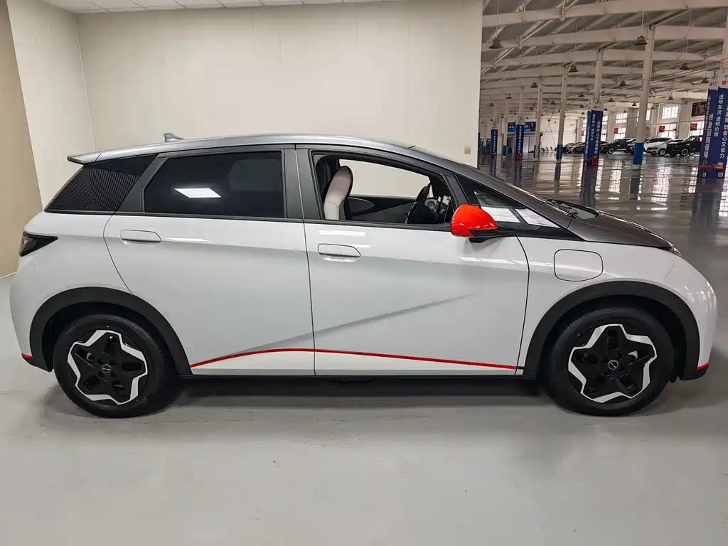 BYD Dolphin 2021