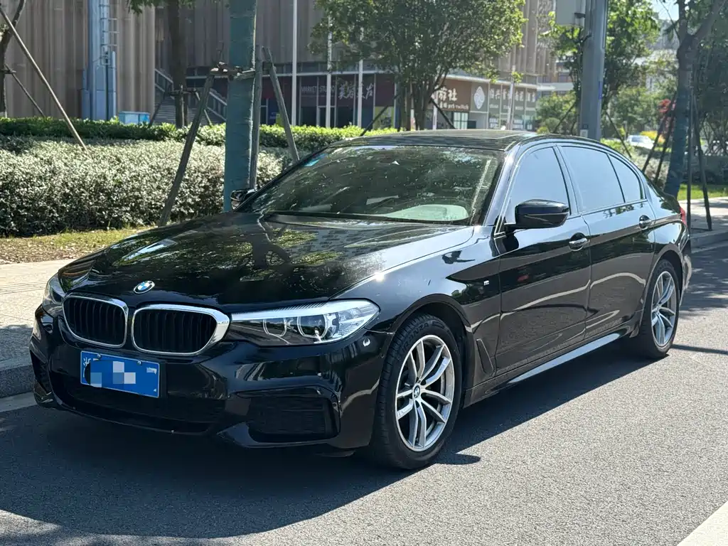 BMW 5 Series 2019