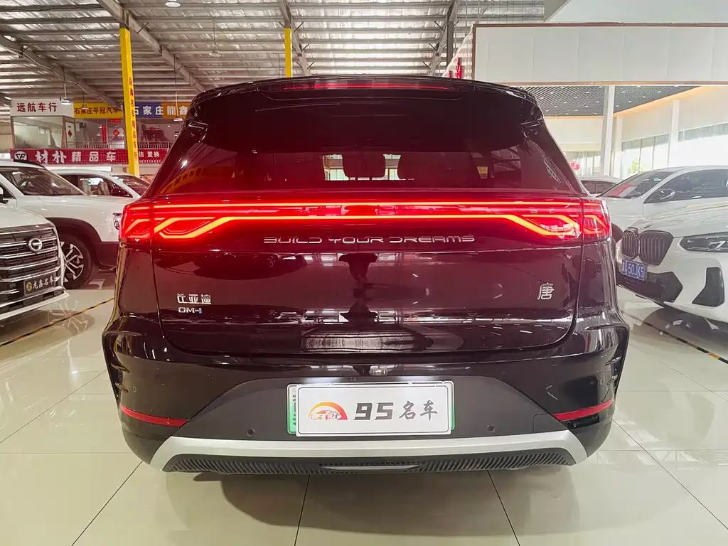 BYD Tang New Energy 2024 — фото 5