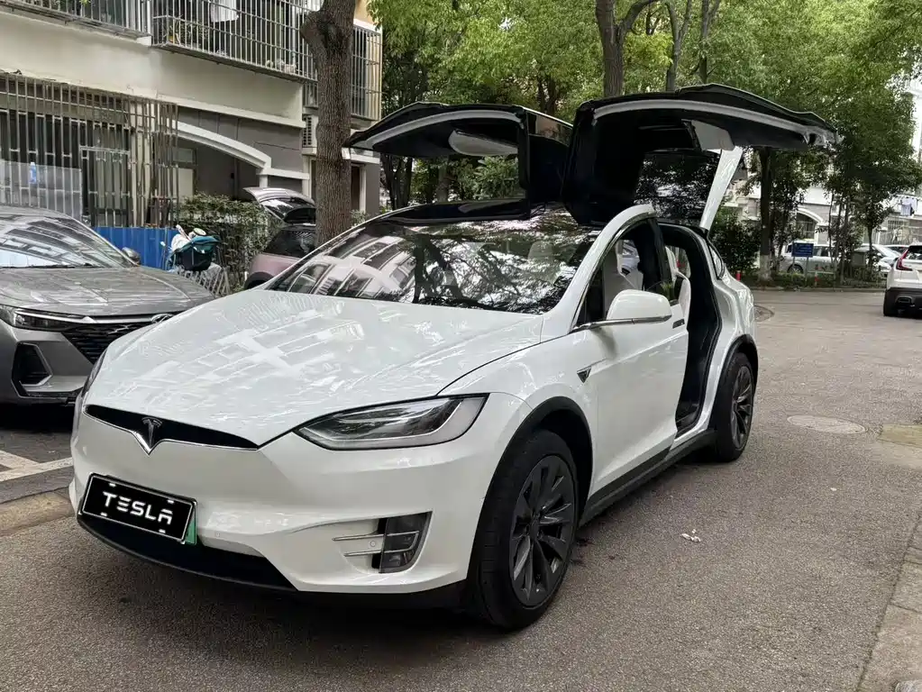 Tesla Model X 2018 — фото 5
