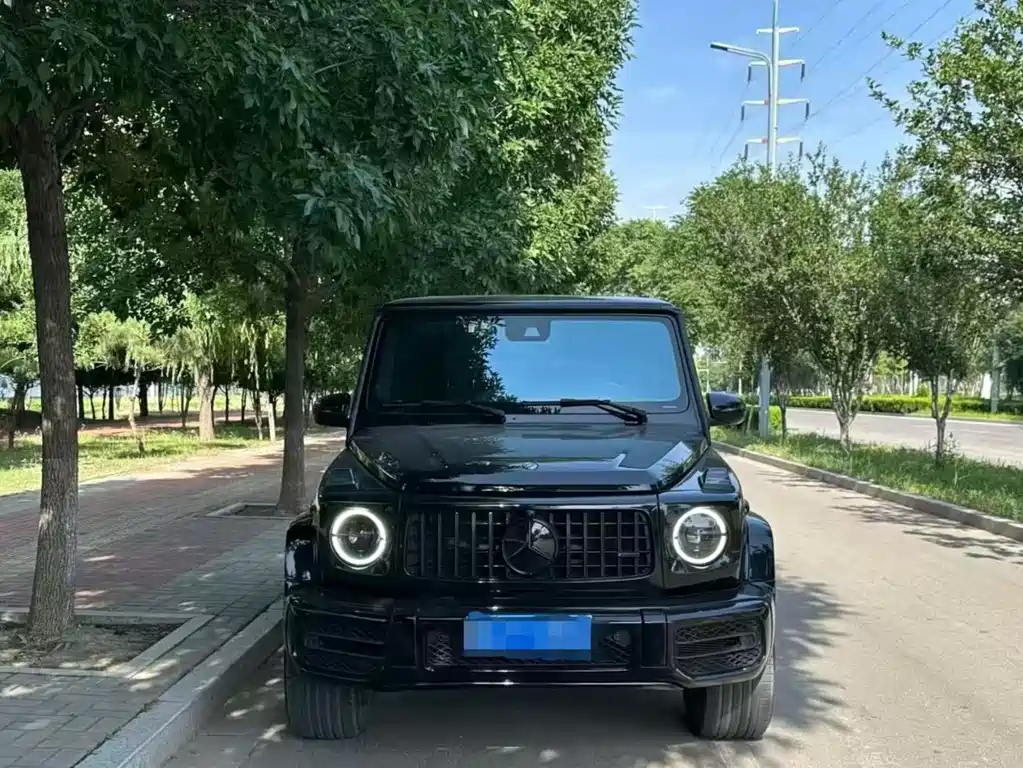 Mercedes-Benz G-Class 2019 — фото 3