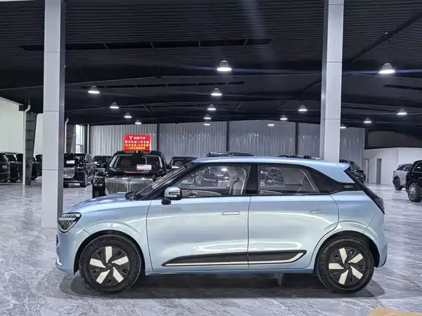 Dongfeng Nano 01 2024