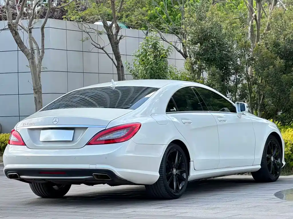 Mercedes-Benz CLS 2014 — фото 22