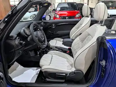 MINI MINI 2019
