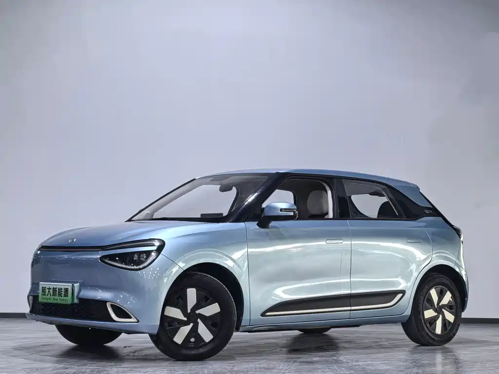 Dongfeng Nano 01 2024