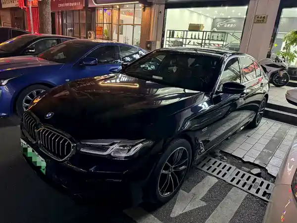 BMW 5 Series New Energy 2022