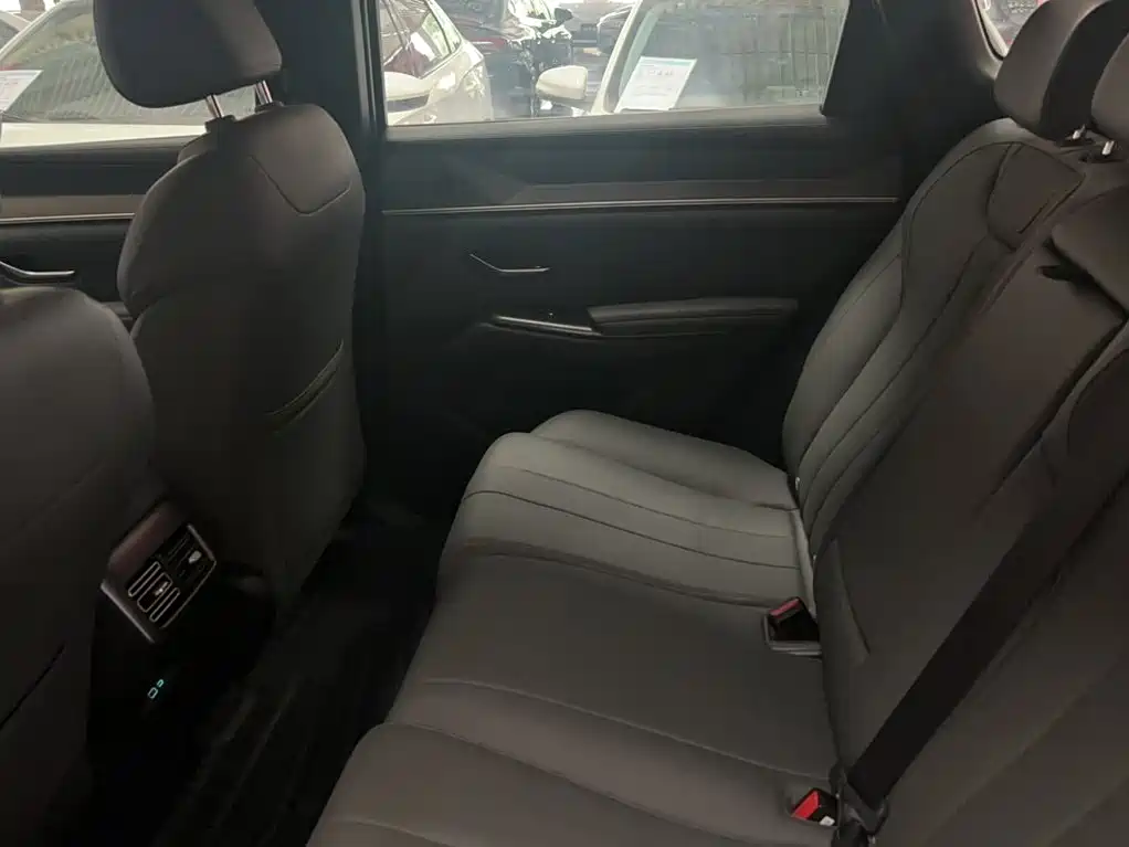BYD Pro New Energy 2025 — фото 19
