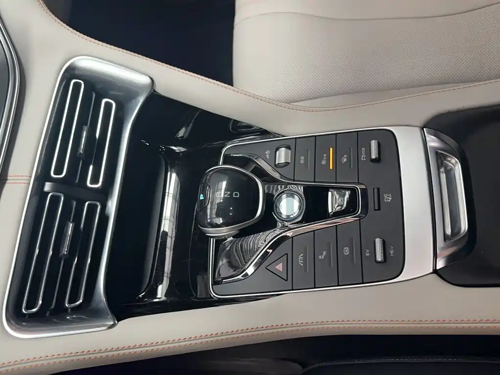 BYD PLUS New Energy 2022 — фото 11