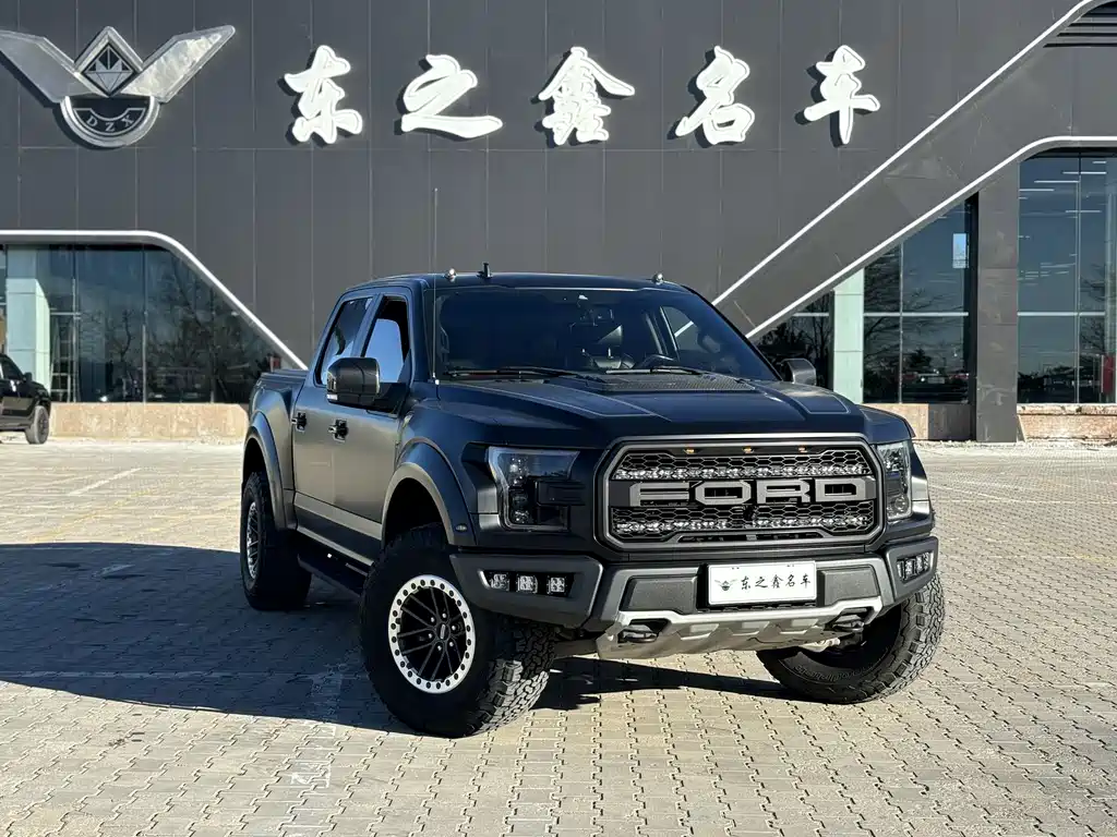 Ford F-150 Raptor 2019 — фото 13