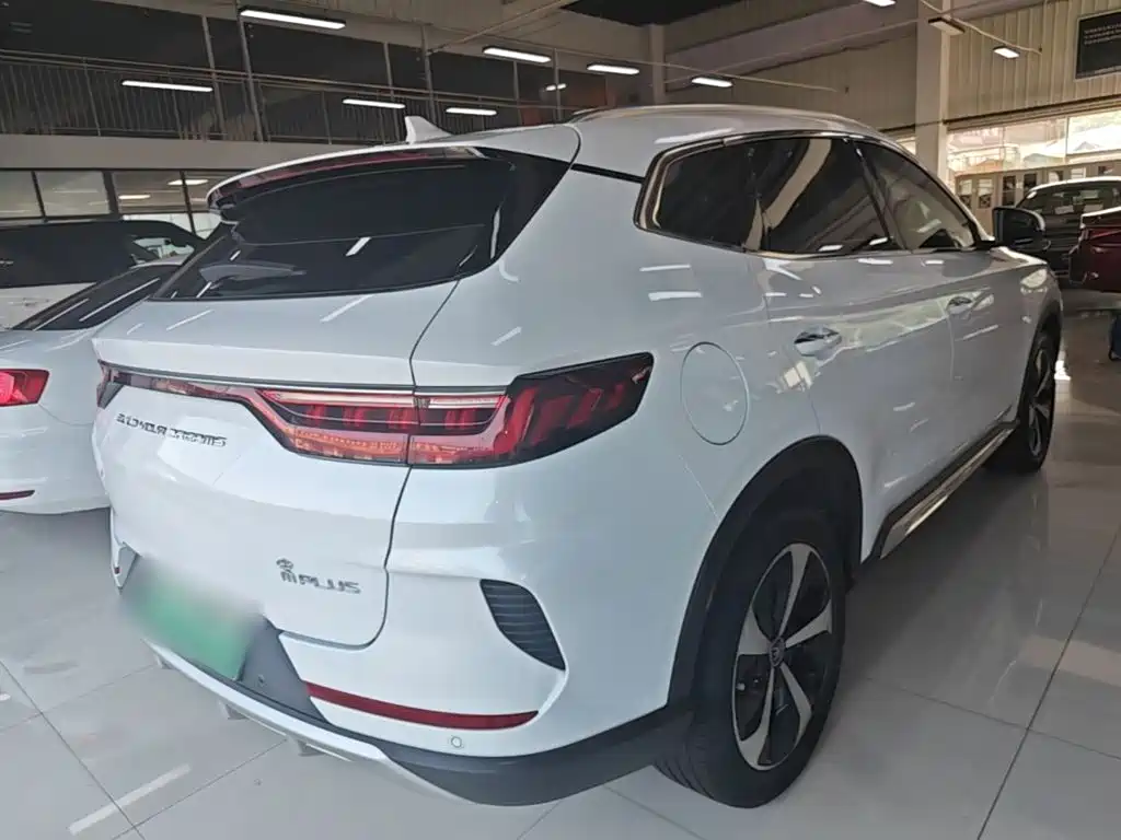 BYD Song PLUS New Energy 2021 — фото 7