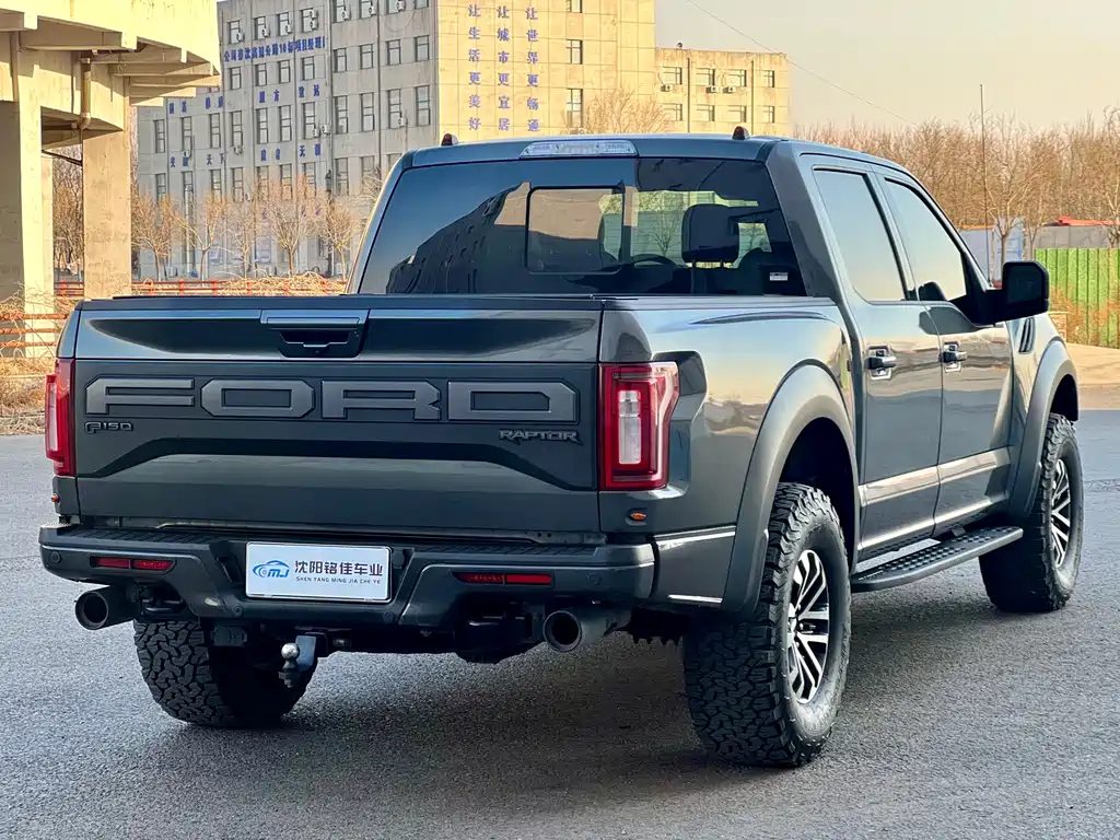 Ford F-150 Raptor 2019 — фото 14
