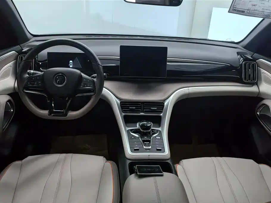BYD Pro New Energy 2024 — фото 12