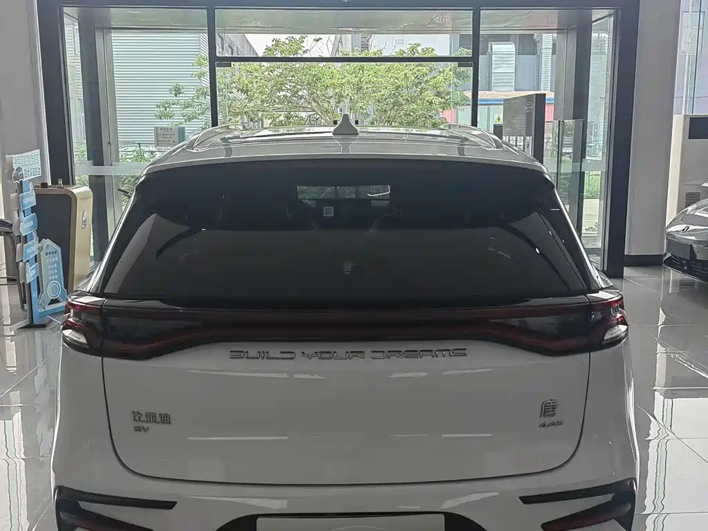 BYD Tang New Energy 2023 — фото 10