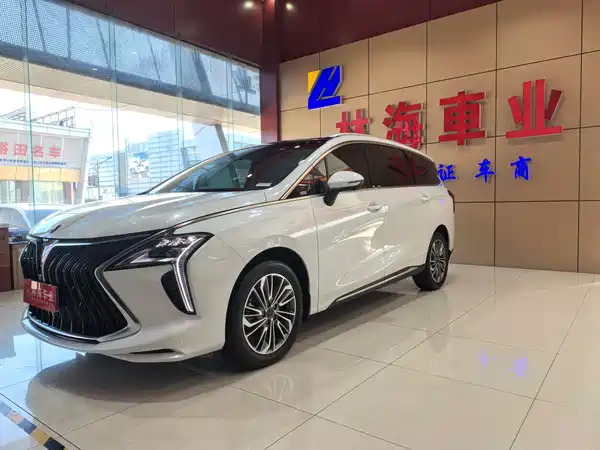 Dongfeng Popular Yacht 2024