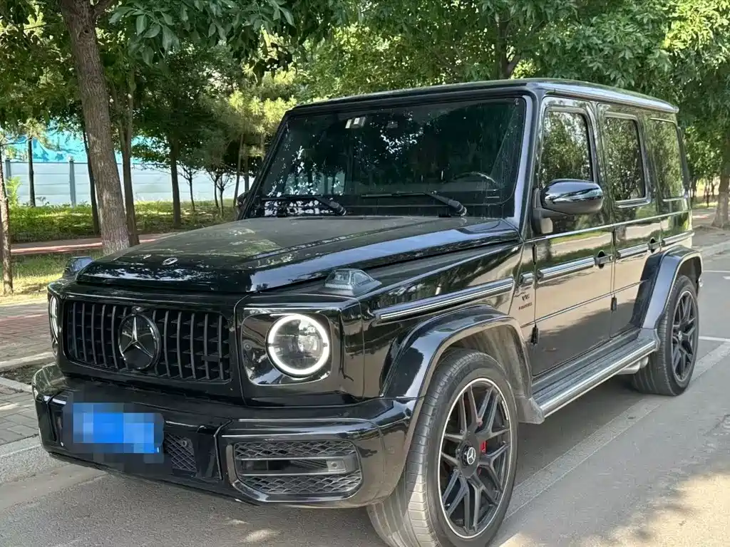 Mercedes-Benz G-Class 2019 — фото 1