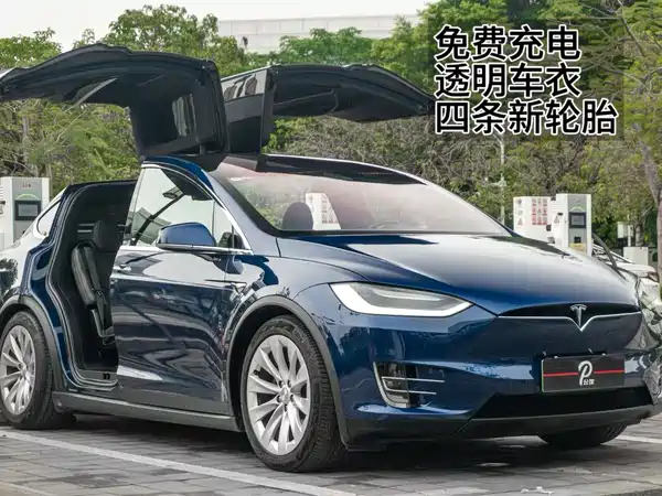 Tesla Model X 2019