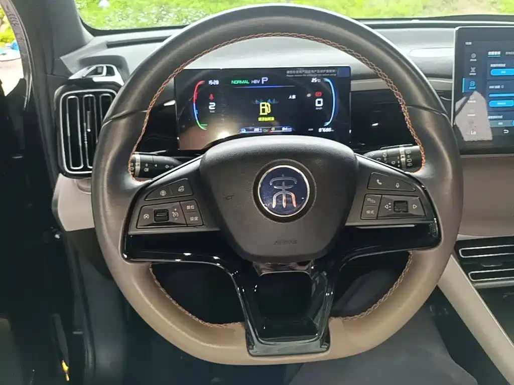 BYD Pro New Energy 2024 — фото 11