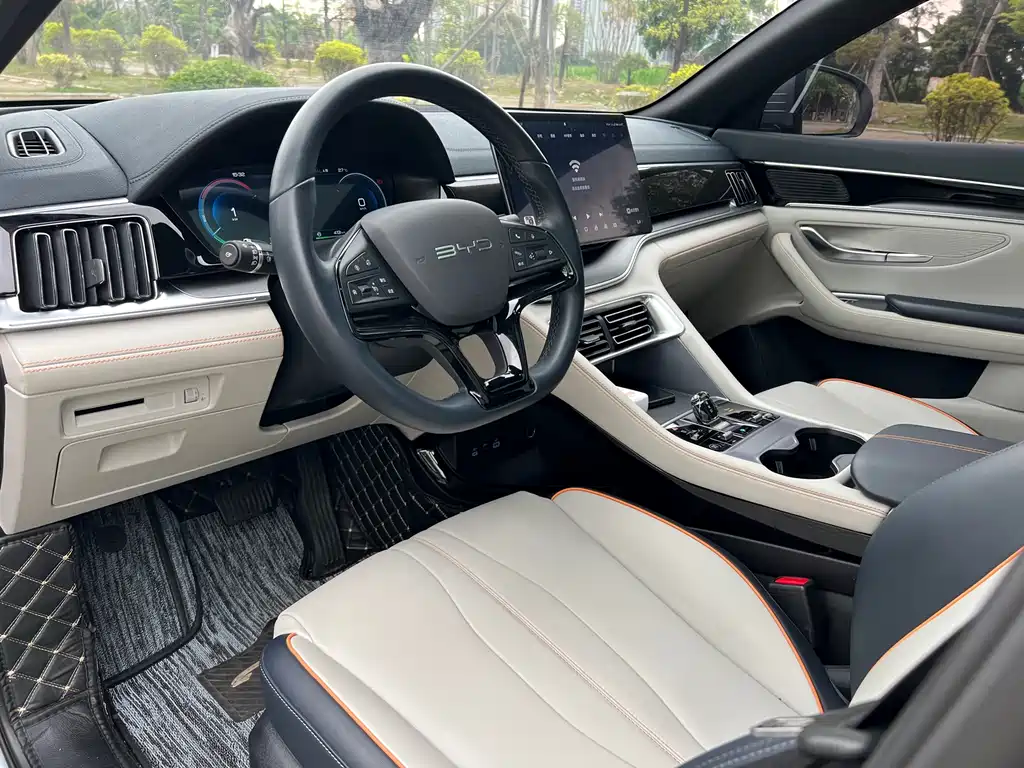 BYD PLUS New Energy 2023 — фото 10