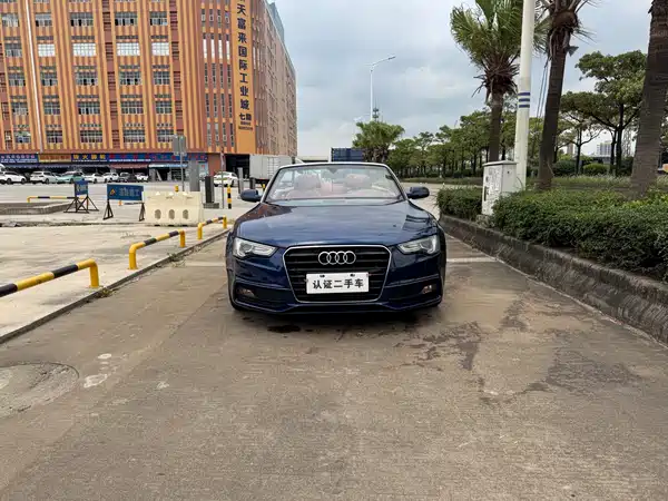 Audi A5 2014