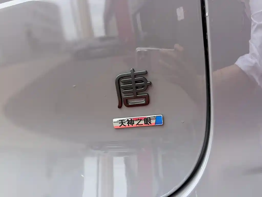 BYD Tang New Energy 2025 — фото 10