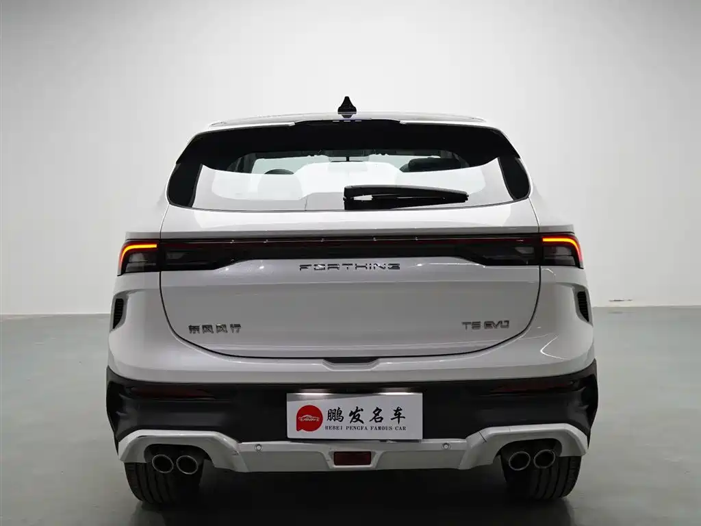 Fengxing T5 EVO 2024 — фото 17