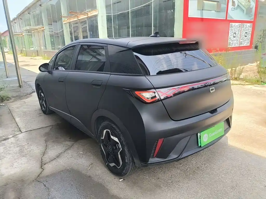 BYD Dolphin 2022
