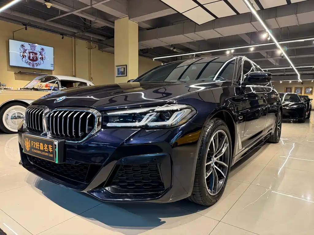 BMW 5 Series New Energy 2023 — фото 2