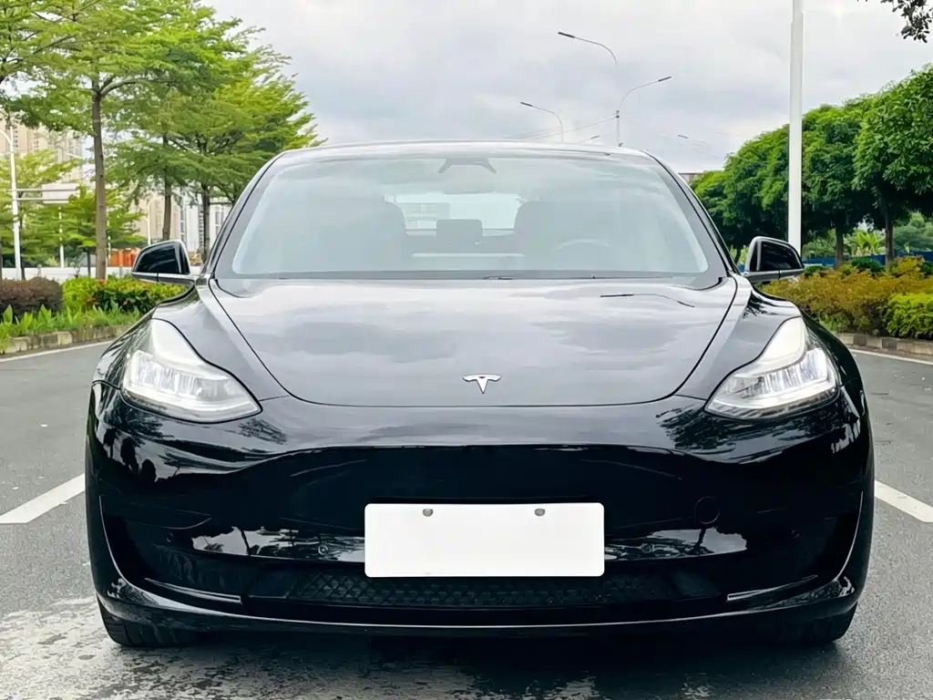 Tesla Model 3 2020 — фото 2