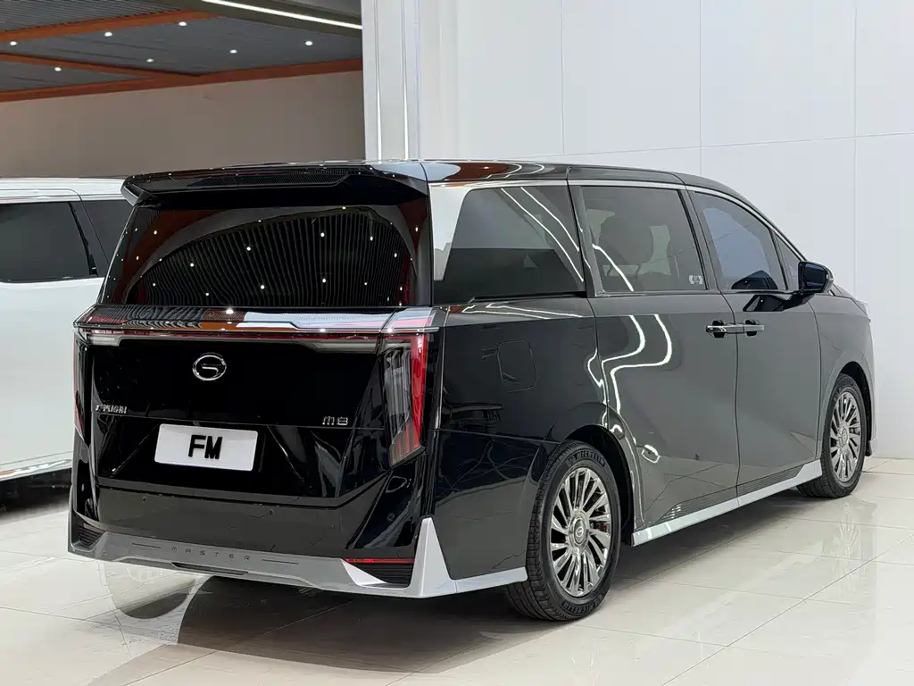 GAC Motor Trumpchi M8 2023 — фото 17
