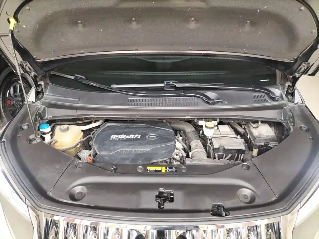 GAC Trumpchi M8 2023 — фото 16