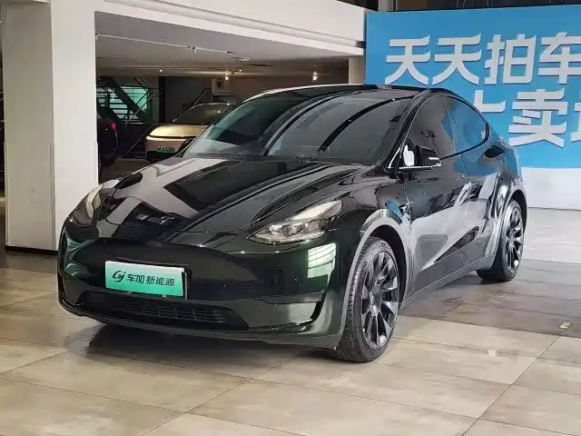 Tesla Model Y 2023 — фото 1