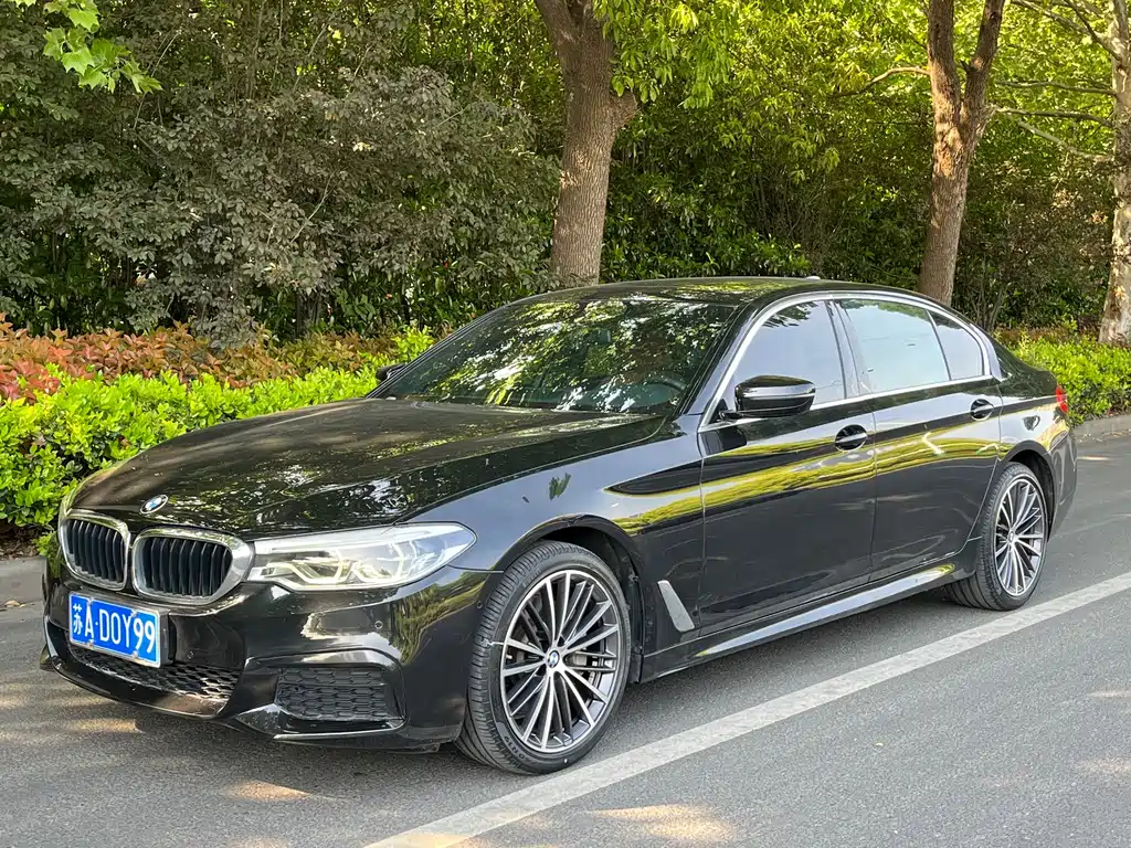 BMW 5 Series 2020 — фото 1