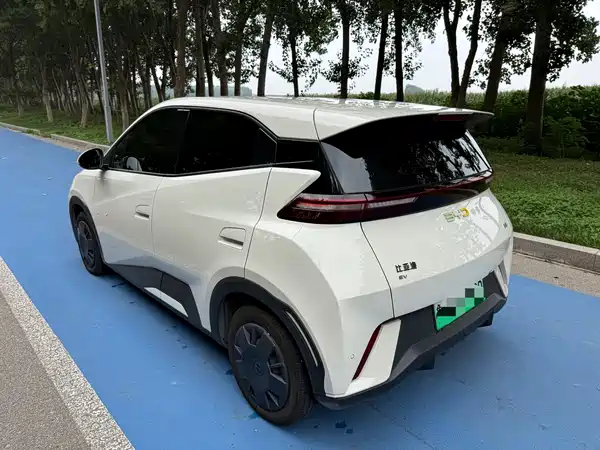 BYD Seagull 2024