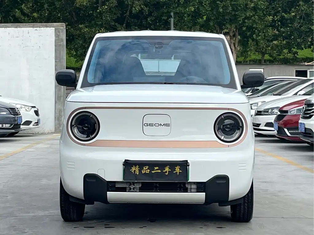 Geely Galaxy Panda 2025 — фото 2