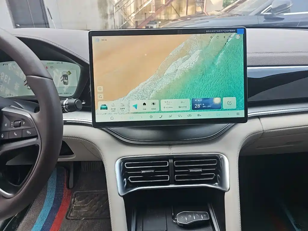BYD Song PLUS New Energy 2025 — фото 13