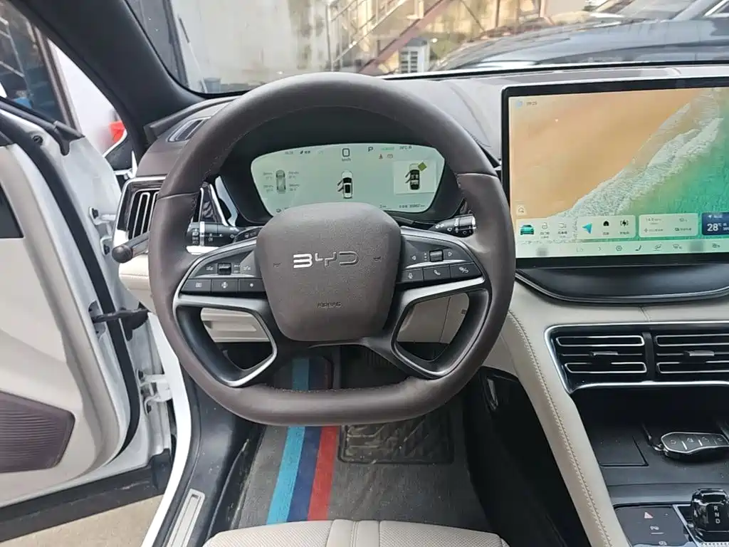 BYD Song PLUS New Energy 2025 — фото 11