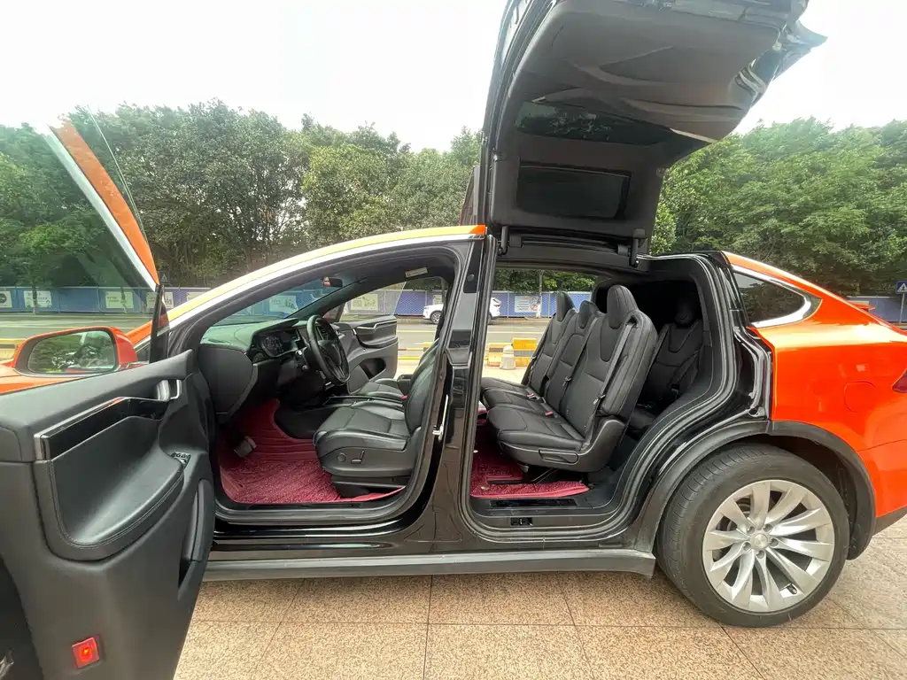 Tesla Model X 2019 — фото 20