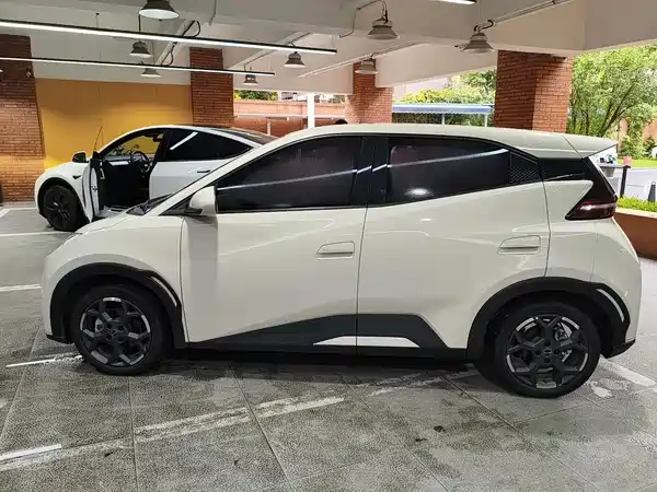 BYD Seagull 2025