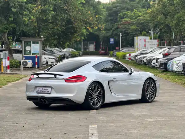 Porsche Cayman 2014