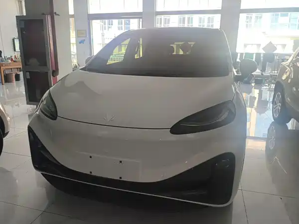 Arcfox Koala S 2024