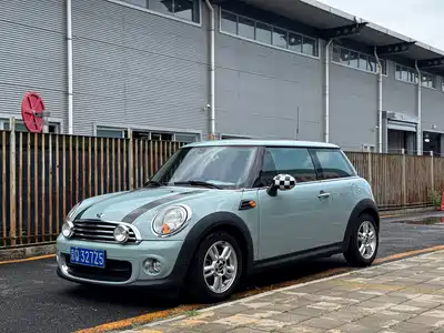 MINI MINI 2014