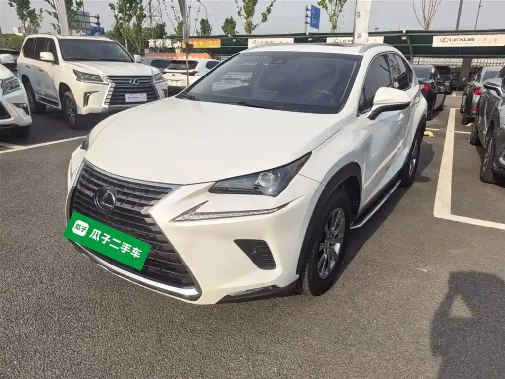 Lexus NX 2019 — фото 1