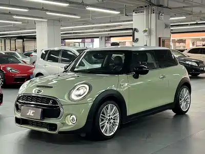MINI MINI 2020
